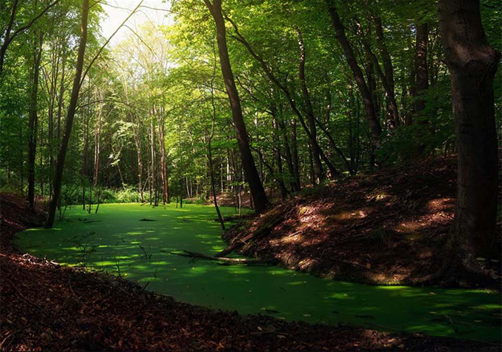 Kóczián Tamás fotográfus vizsgaremek 