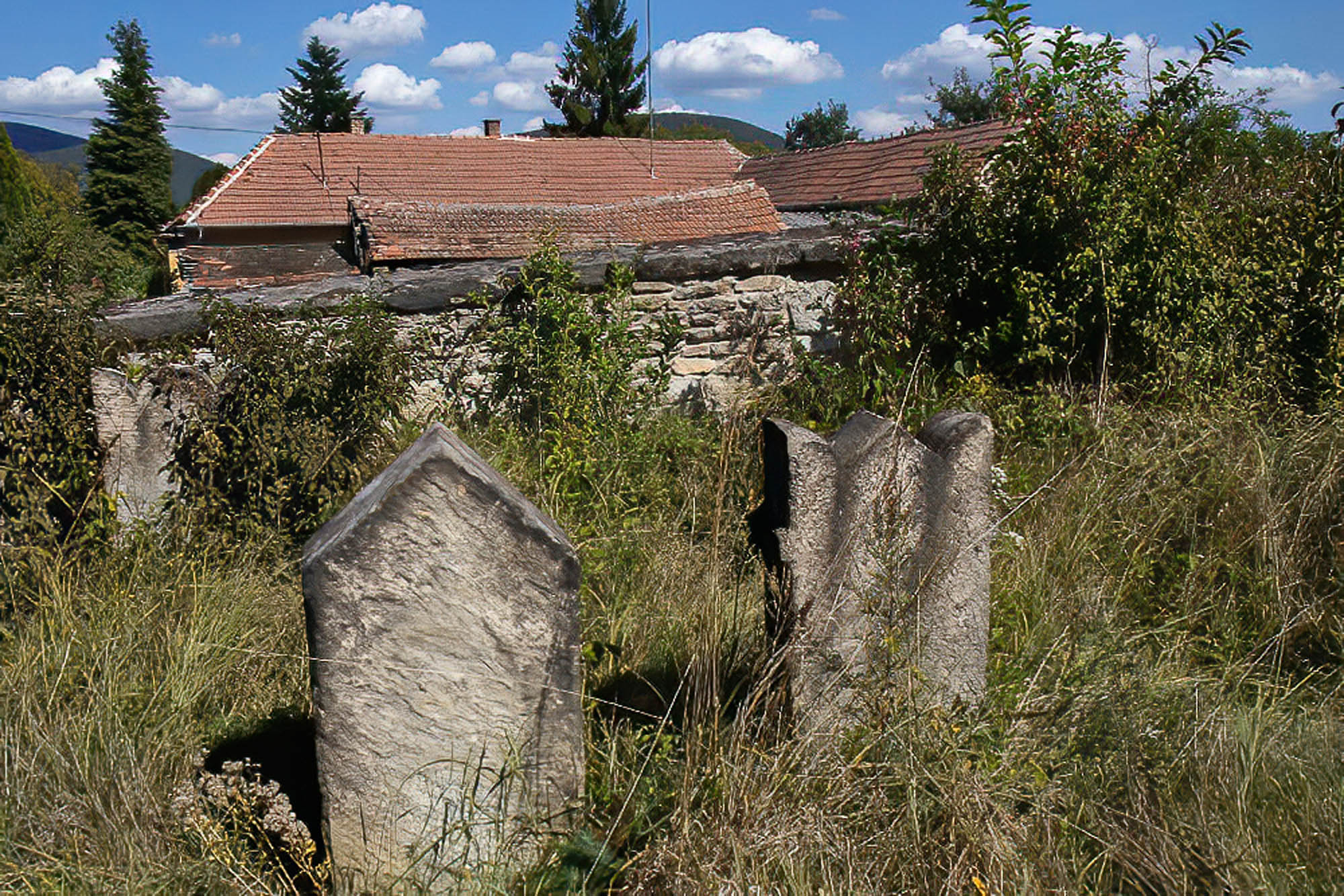 Kövesdy Gábor fotográfus fotográfus vizsgaremek 