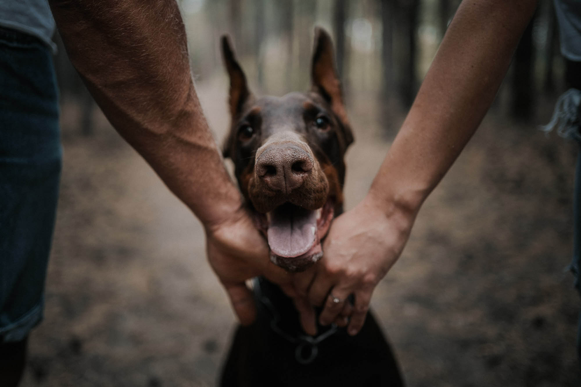 Szabó Lajos fotográfus fotográfus vizsgaremek 