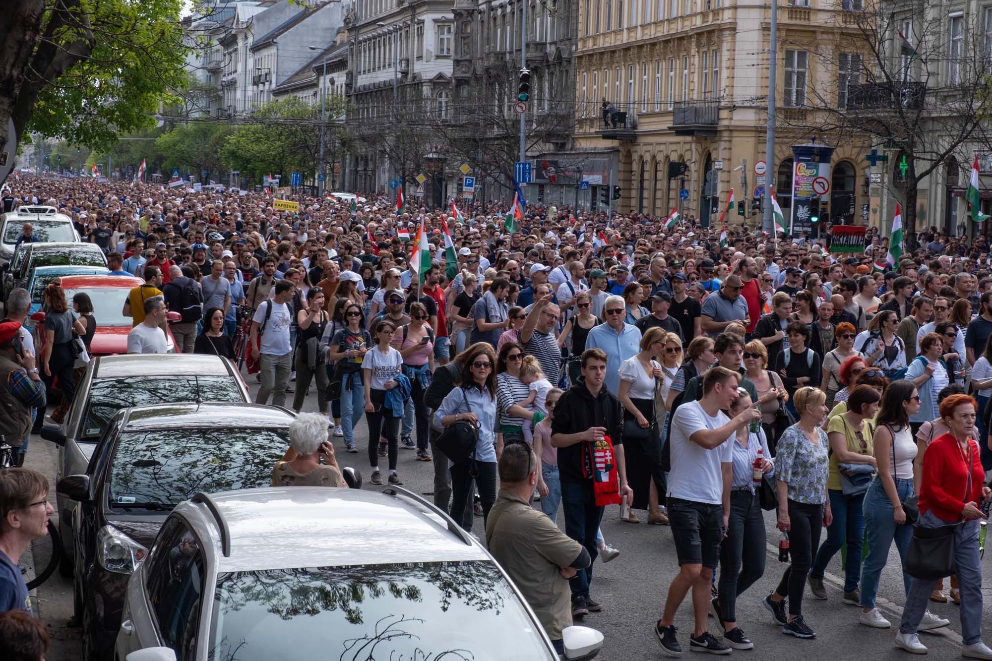 Horváth Tünde fotográfus vizsgaremek 