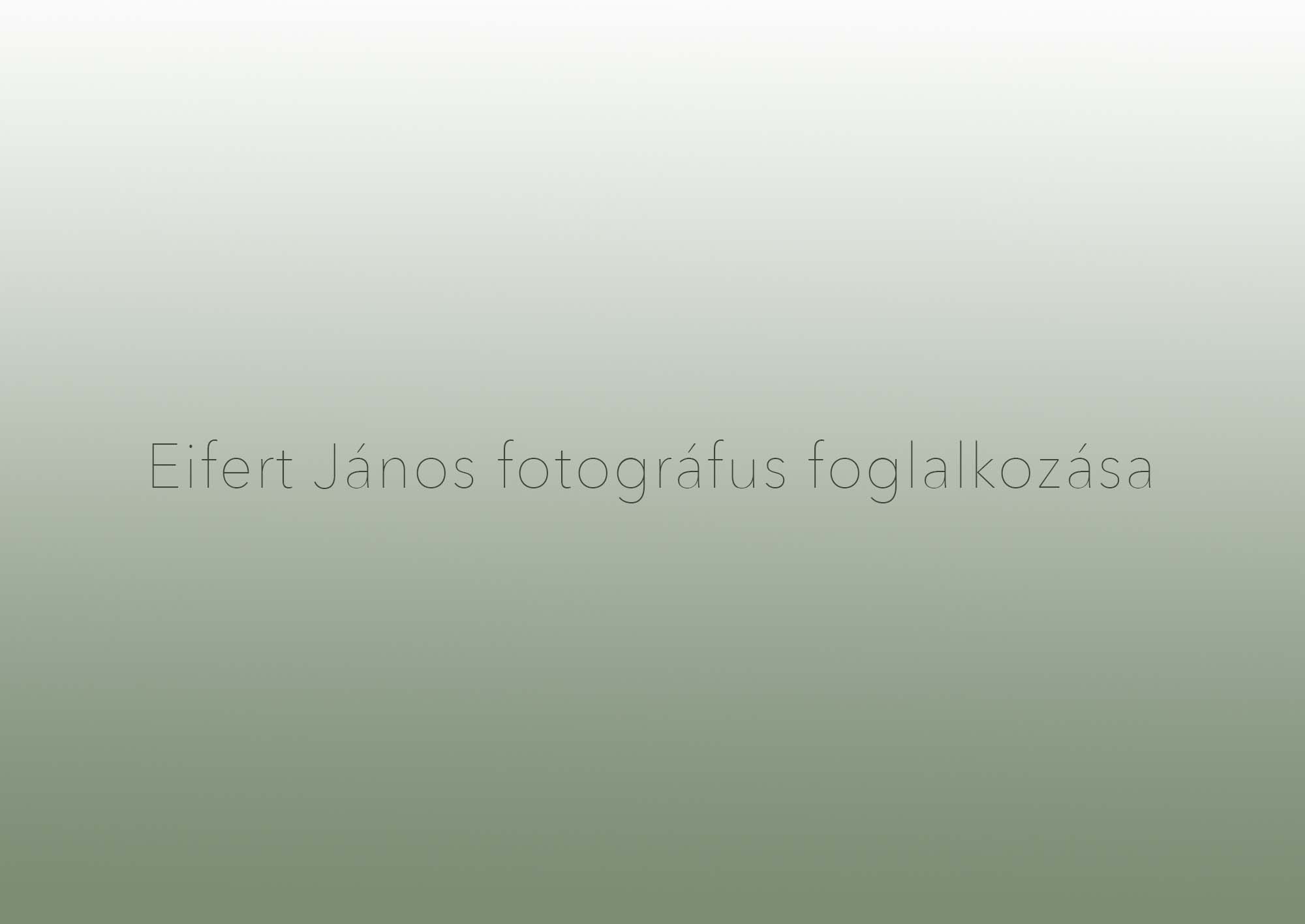 Maklári Eszter fotográfus vizsgaremek 