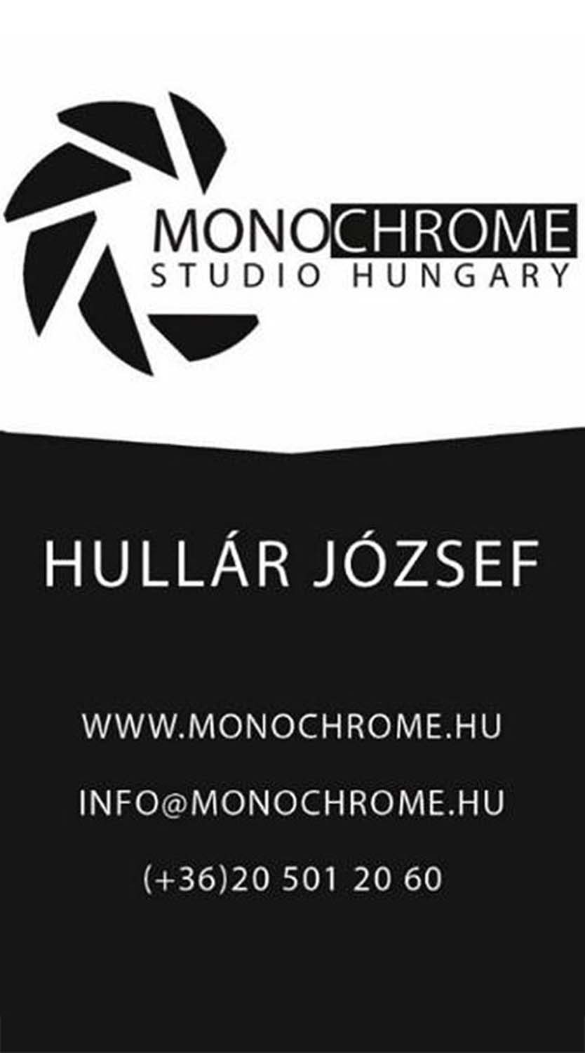 Hullár József grafikus képzés végén leadott vizsgaremek 